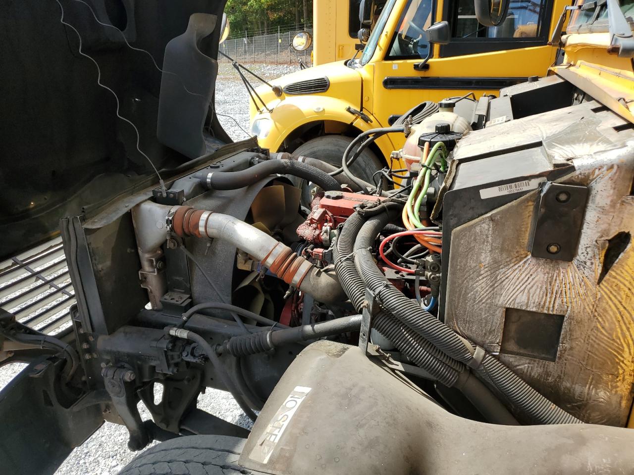 Lot #3274721858 2011 BLUE BIRD SCHOOL BUS