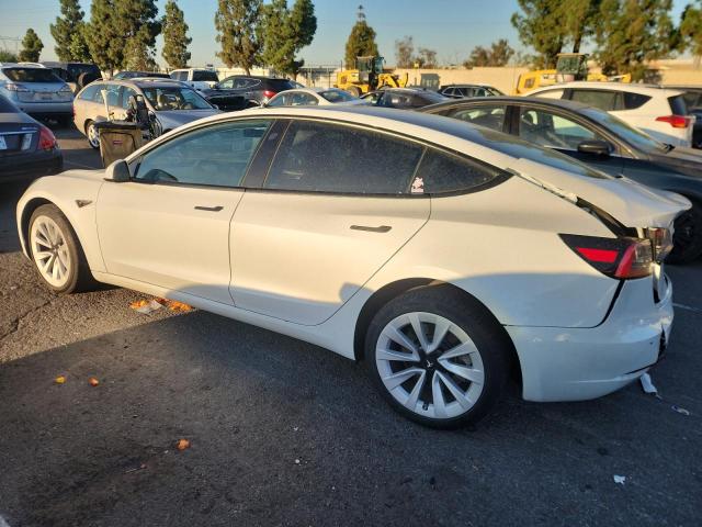 2023 TESLA MODEL 3 #3294306884