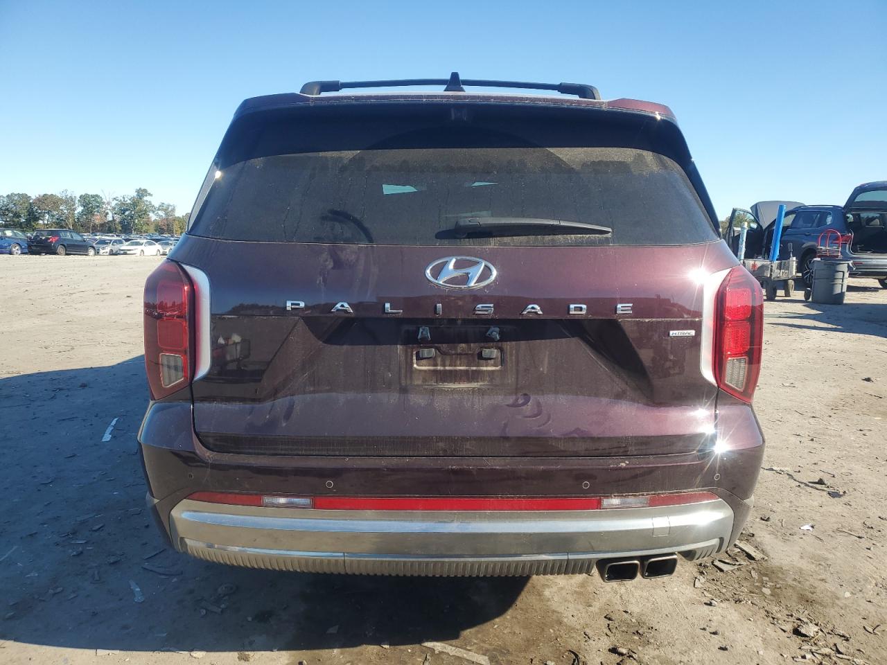 HYUNDAI PALISADE CALLIGRAPHY