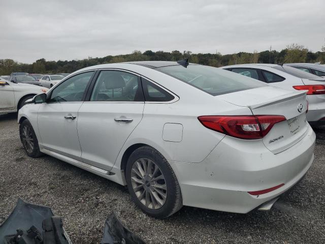 2015 HYUNDAI SONATA SPO - 5NPE34AF1FH254299