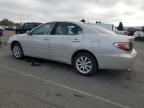 Lot #3296873844 2003 LEXUS ES 300