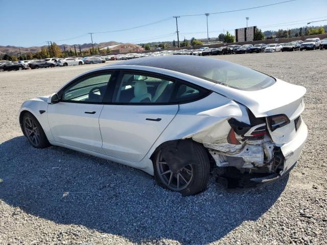 2021 TESLA MODEL 3 #3302766383