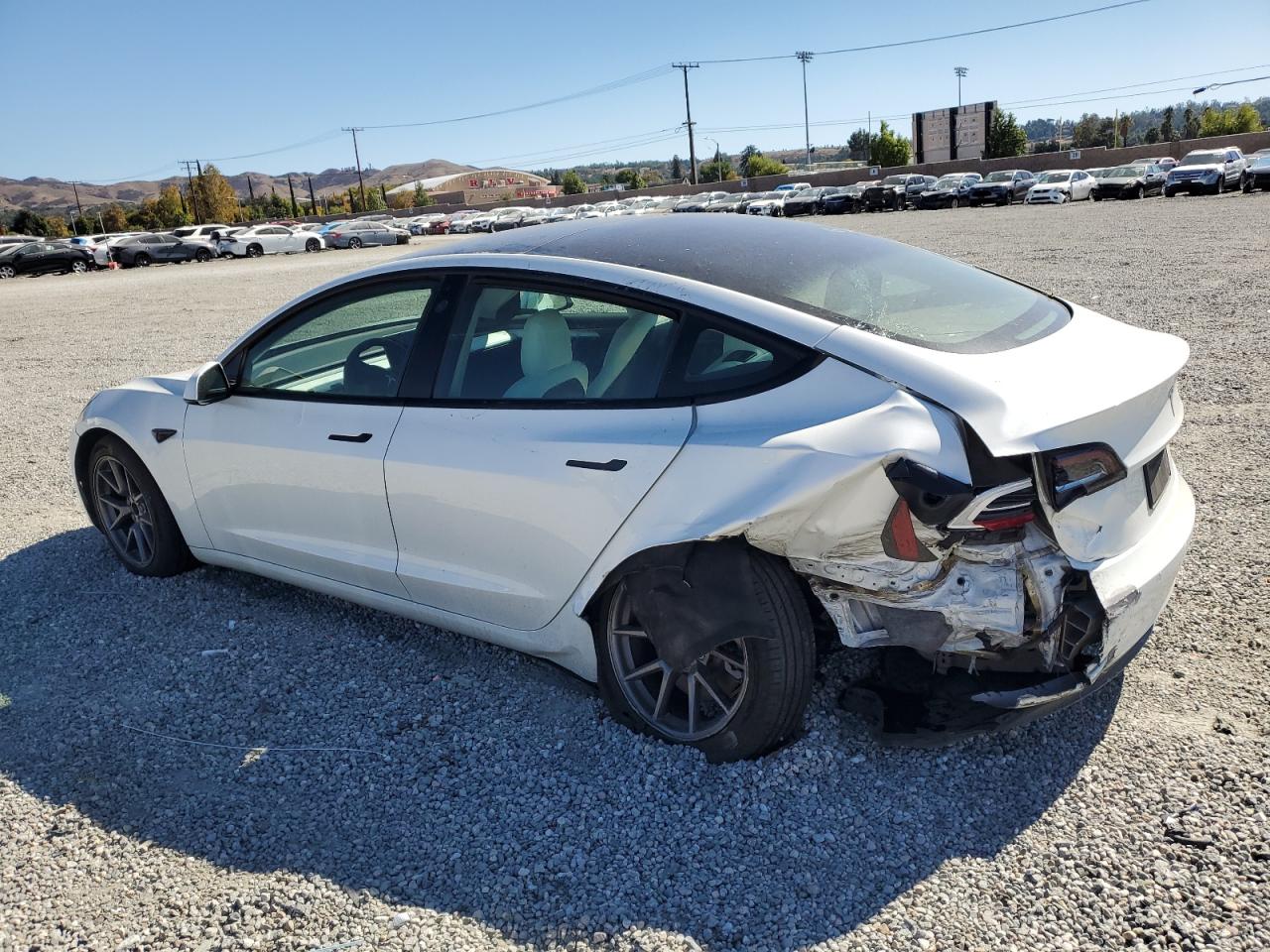 Lot #3302766383 2021 TESLA MODEL 3