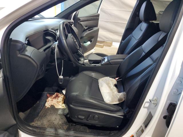 2024 HYUNDAI SANTA CRUZ - 5NTJDDDFXRH119934