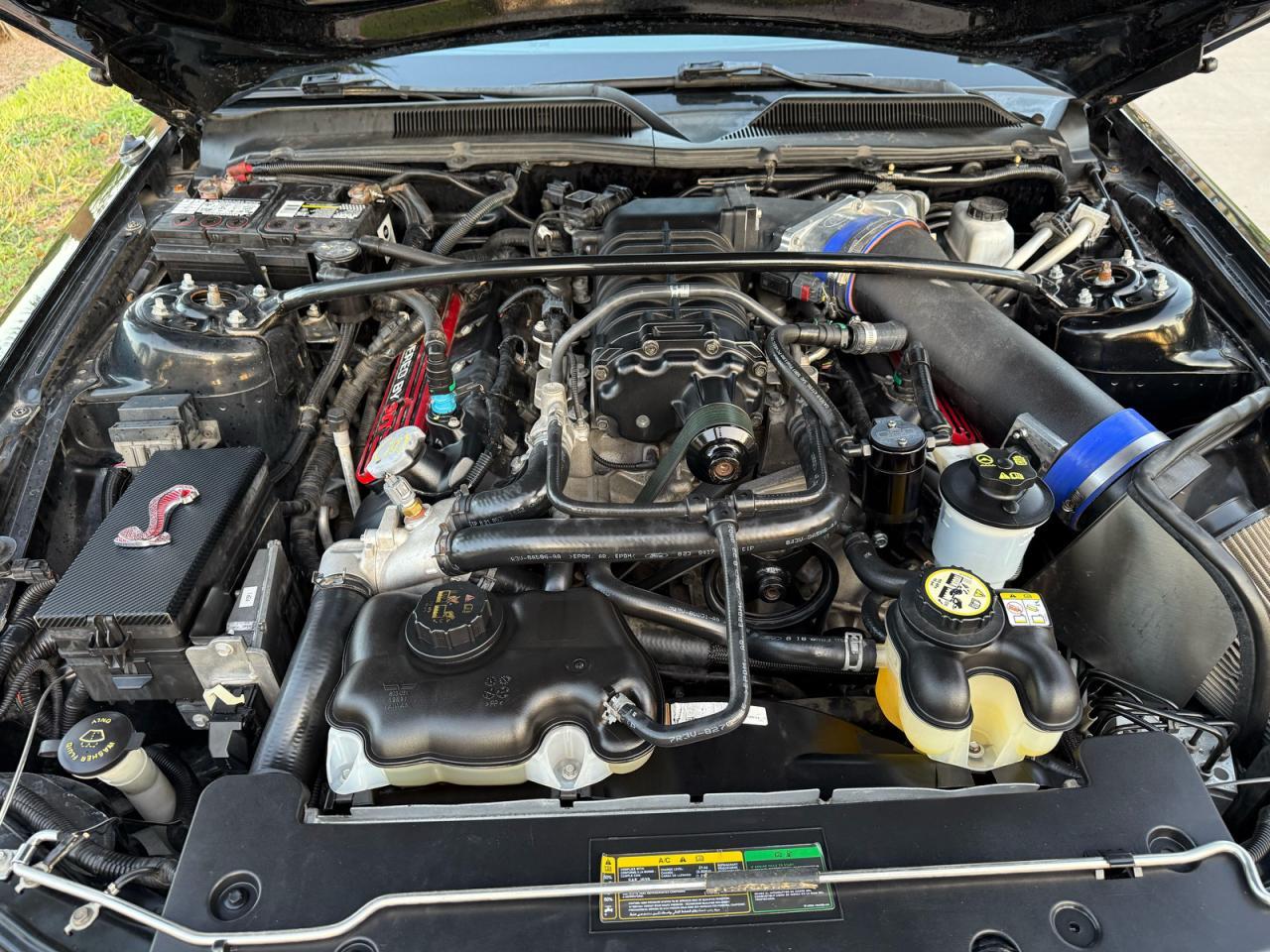 Lot #3273827385 2009 FORD MUSTANG SH