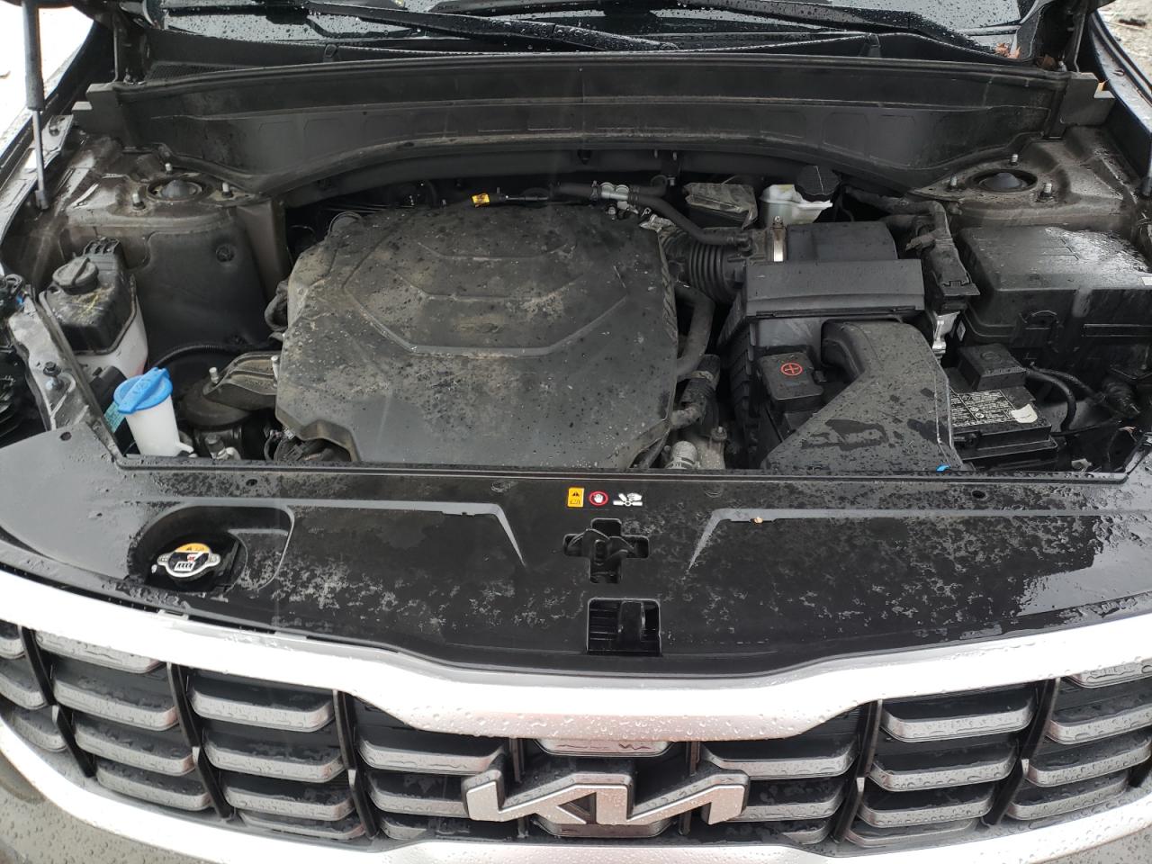 Lot #3291252042 2024 KIA TELLURIDE