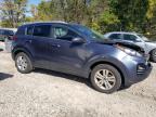 Lot #3301661629 2019 KIA SPORTAGE L