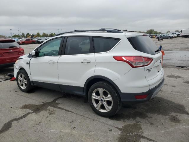 2013 FORD ESCAPE SE - 1FMCU0GX9DUD79515