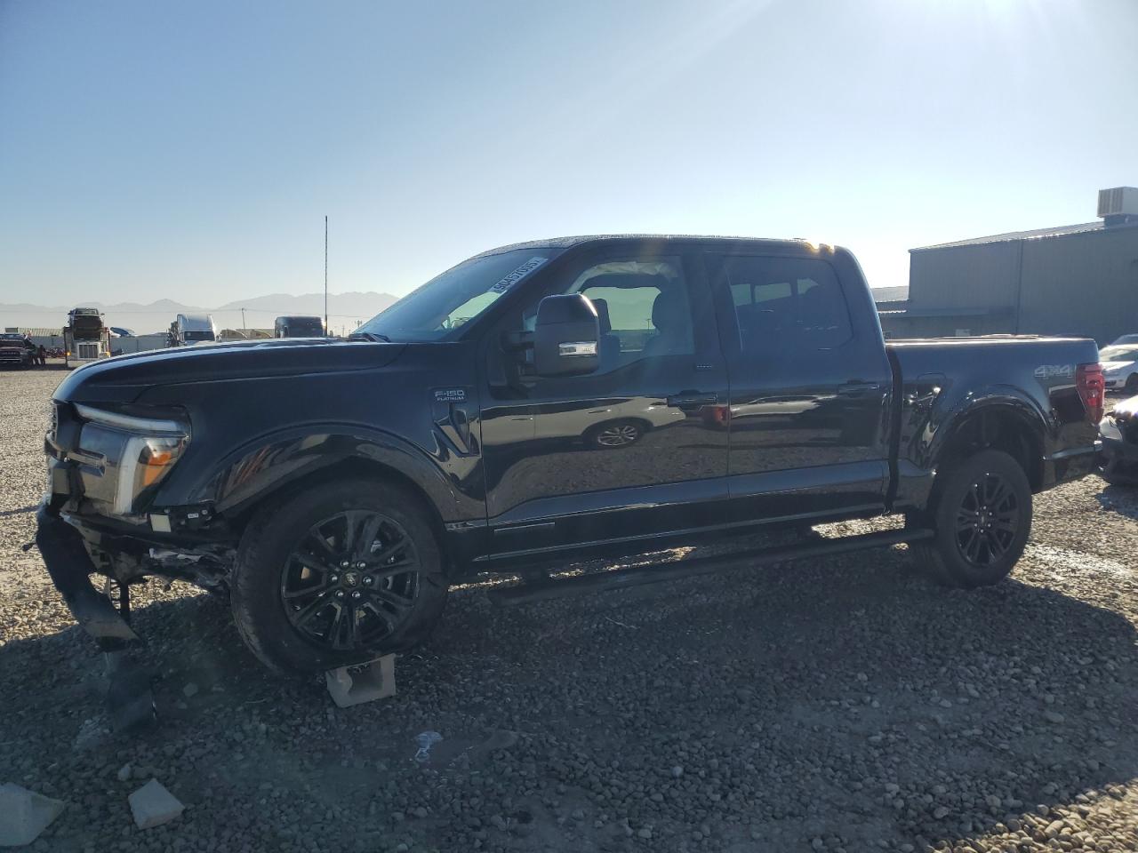 FORD F-150 PLATINUM