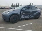 Lot #3297925787 2023 TESLA MODEL Y