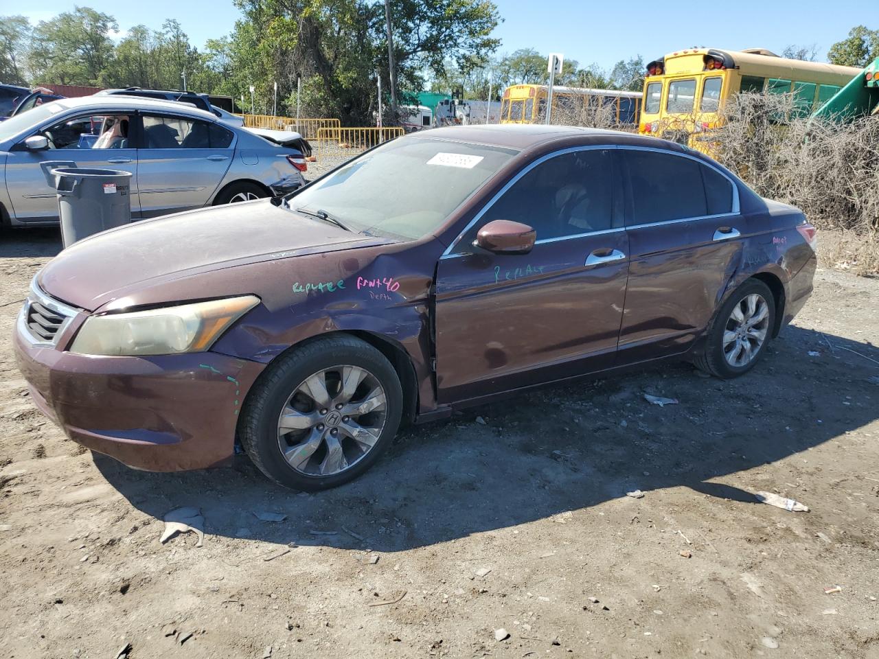 Lot #3304630977 2010 HONDA ACCORD EXL
