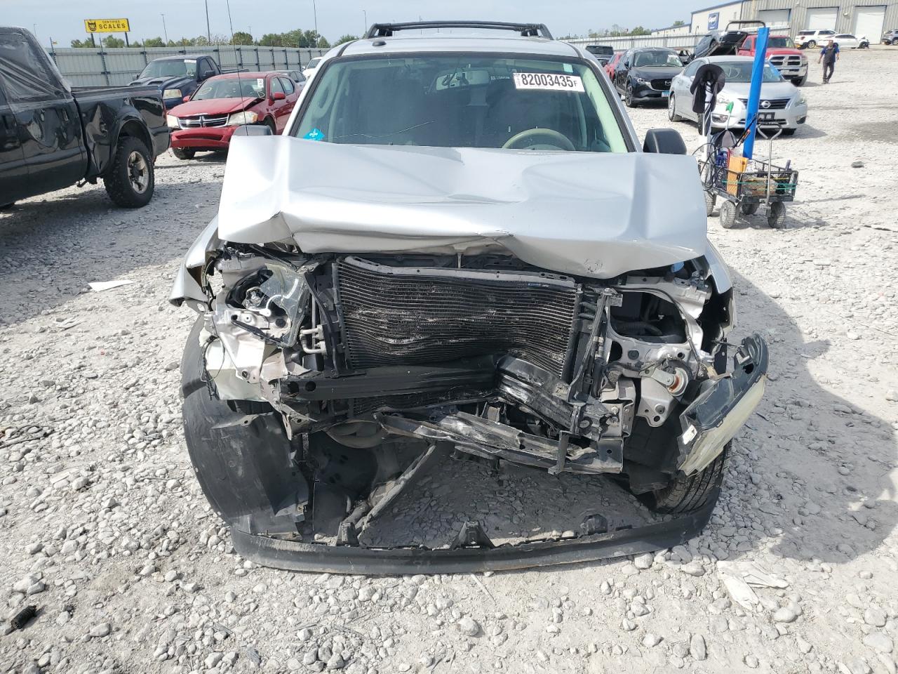 Lot #3263897705 2009 FORD ESCAPE XLT