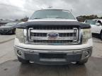 Lot #3305491067 2013 FORD F150 SUPER