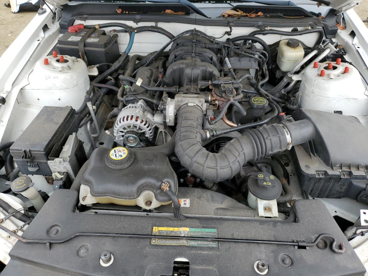 Lot #3280359983 2007 FORD MUSTANG