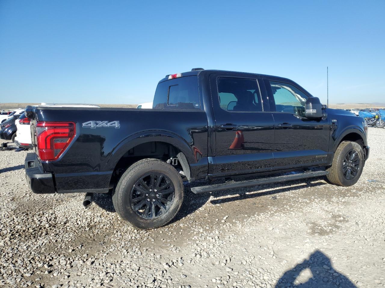 FORD F-150 PLATINUM
