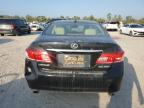 Lot #3311449238 2010 LEXUS ES 350