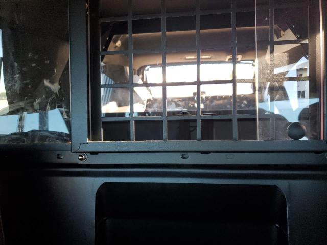 2023 CHEVROLET TAHOE C150 - 1GNSCLED0PR149633