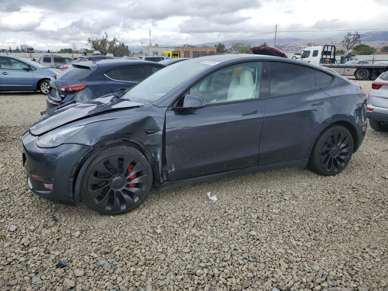 TESLA MODEL Y