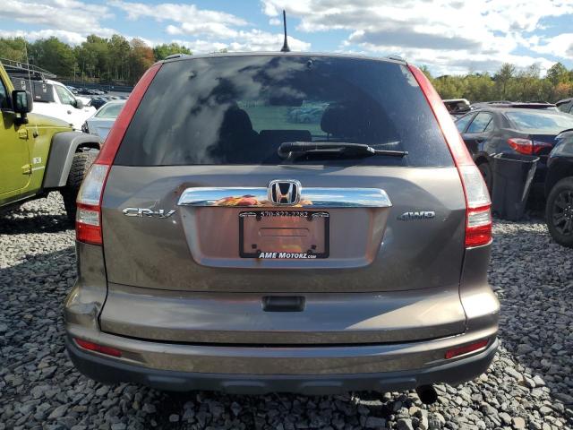 2010 HONDA CR-V EX - 5J6RE4H53AL061160