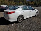 Lot #3315730343 2014 KIA OPTIMA EX