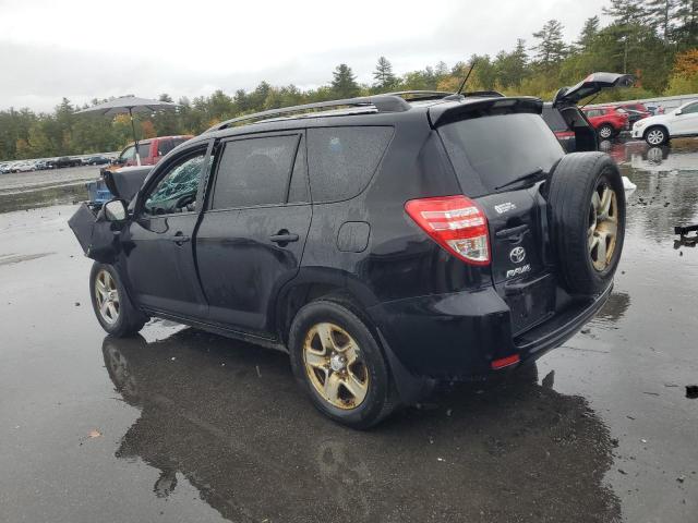 2011 TOYOTA RAV4 - 2T3BF4DV1BW169401