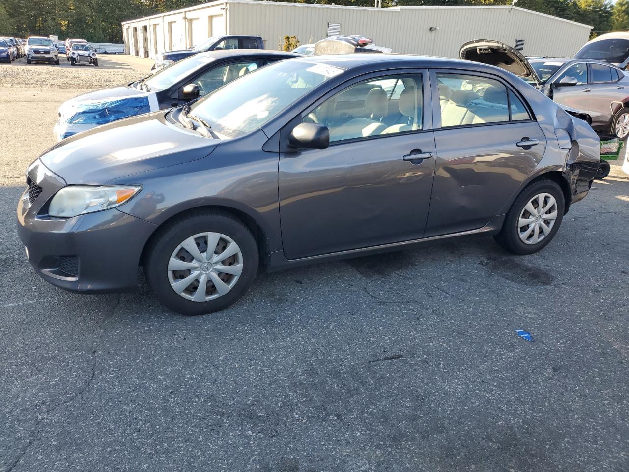 Lot #3268958224 2009 TOYOTA COROLLA