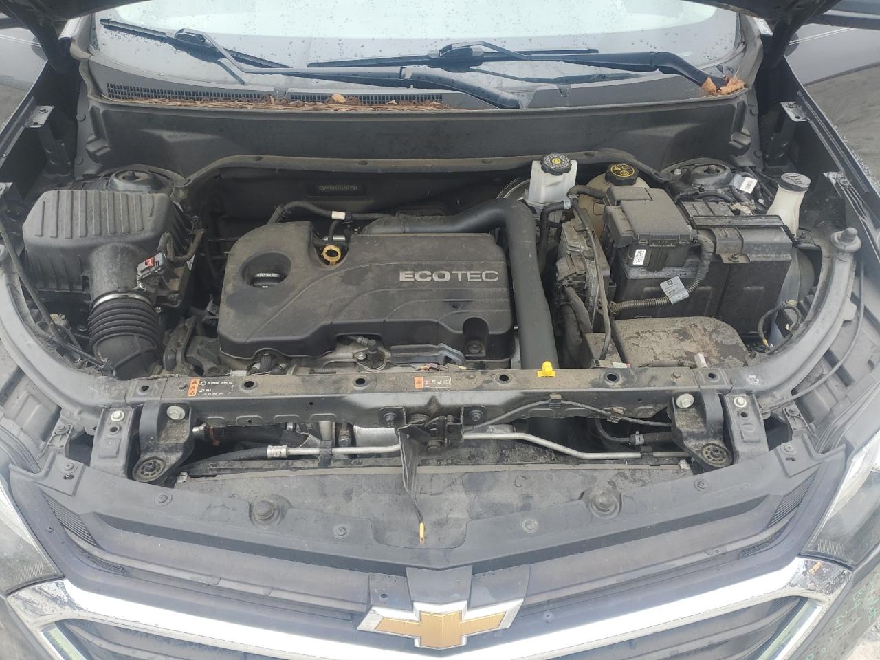CHEVROLET EQUINOX LS