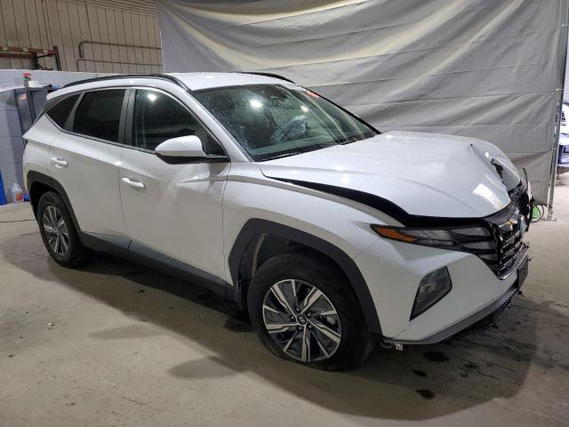 2024 HYUNDAI TUCSON BLU #3291422134