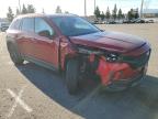 Lot #3305358341 2024 MAZDA CX-50 PREM