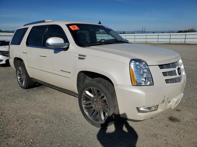 2013 CADILLAC ESCALADE P - 1GYS4CEFXDR345513