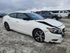 Lot #3310546044 2017 NISSAN MAXIMA