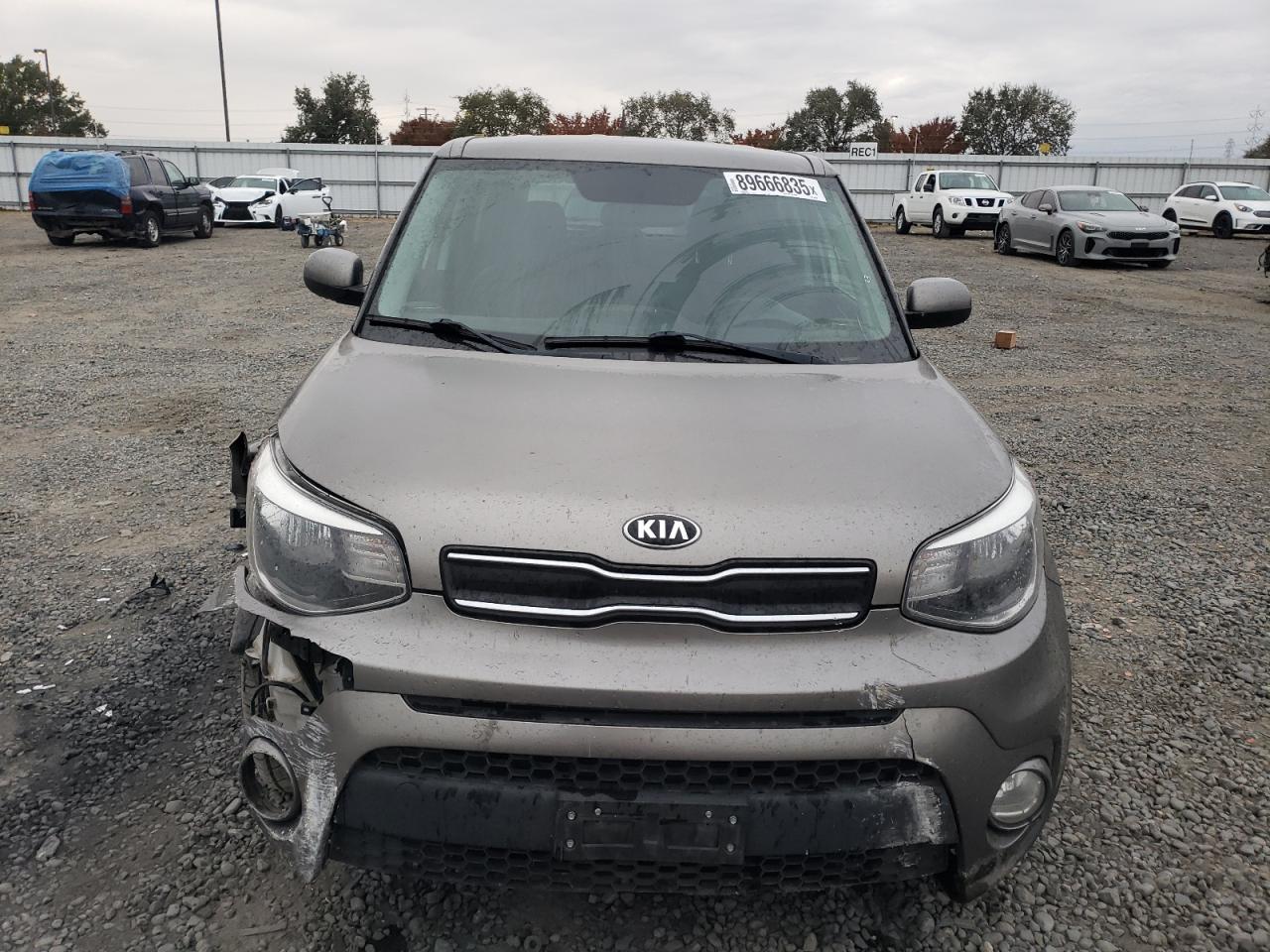 KIA SOUL +