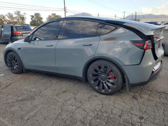 2023 TESLA MODEL Y #3308358369