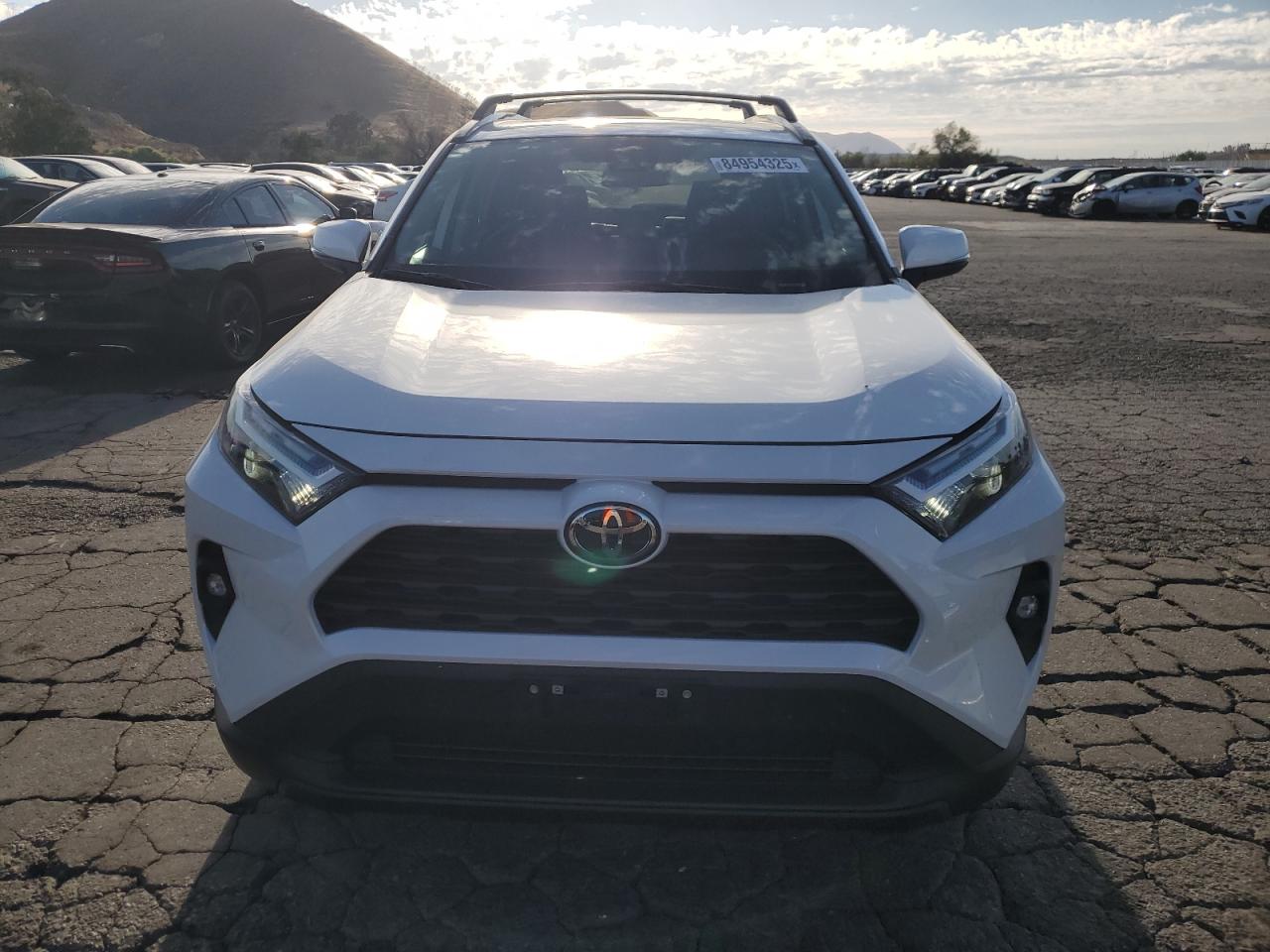 TOYOTA RAV4 XLE PREMIUM