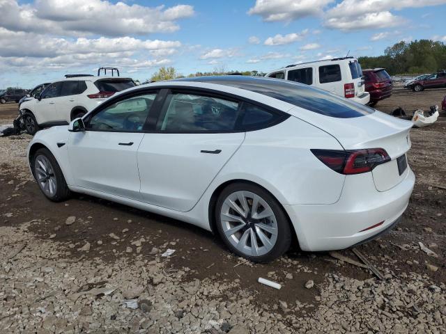 2022 TESLA MODEL 3 #3296449649
