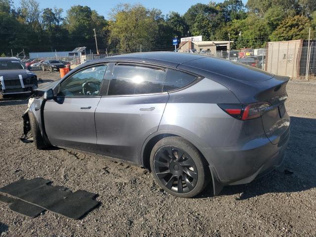 2023 TESLA MODEL Y - 7SAYGDEE5PA164060
