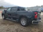 Lot #3316995106 2025 CHEVROLET SILVERADO