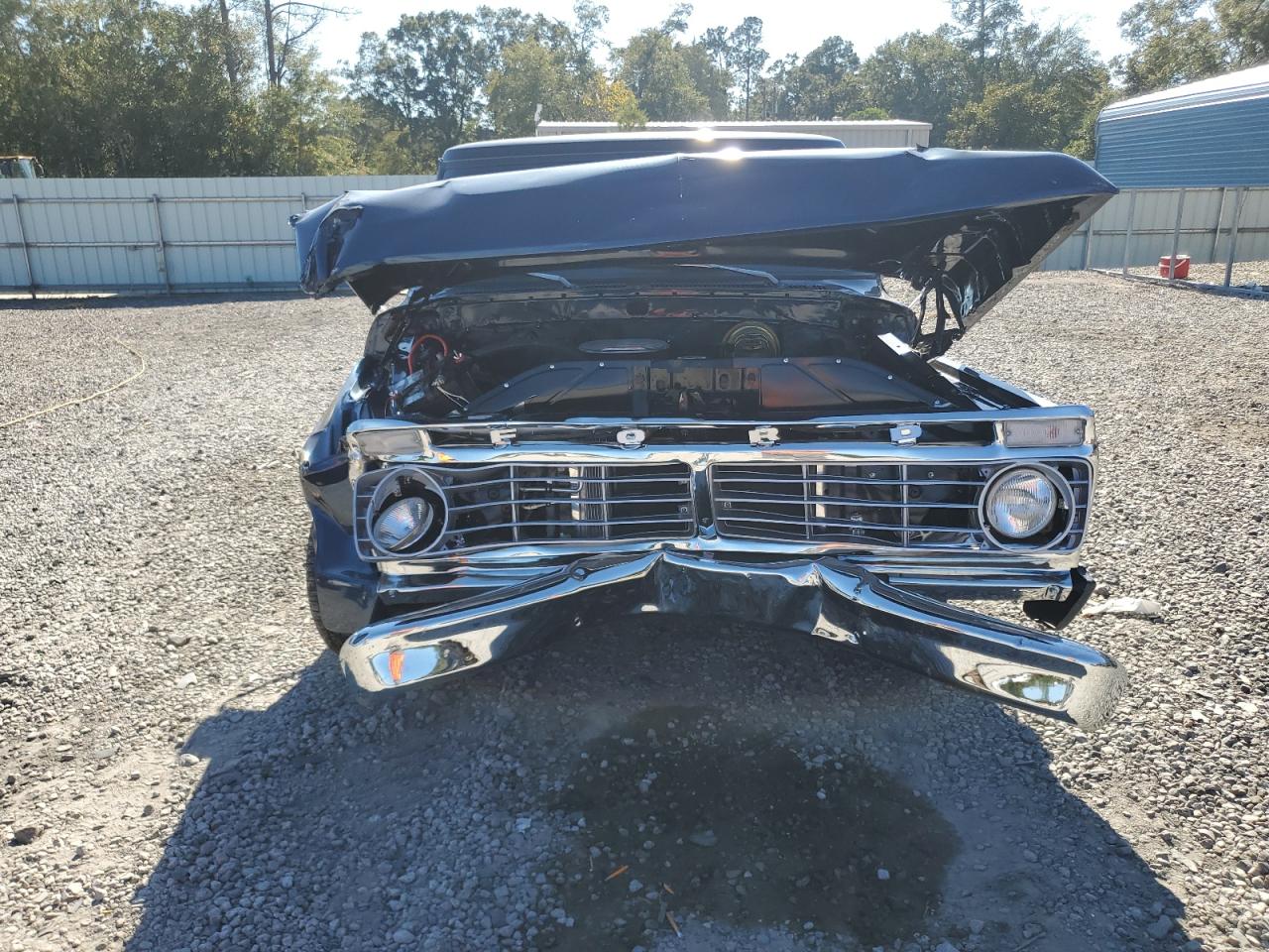 Lot #3279776292 1974 FORD F-100