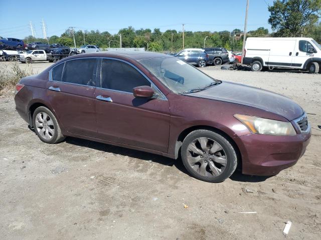 2010 HONDA ACCORD EXL #3304630977