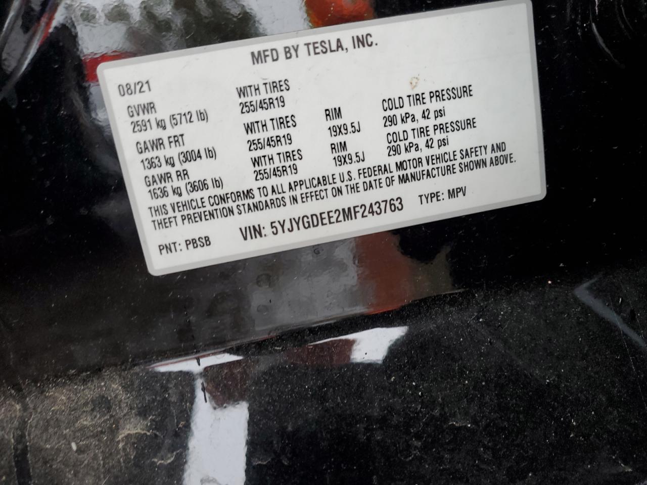 TESLA MODEL Y