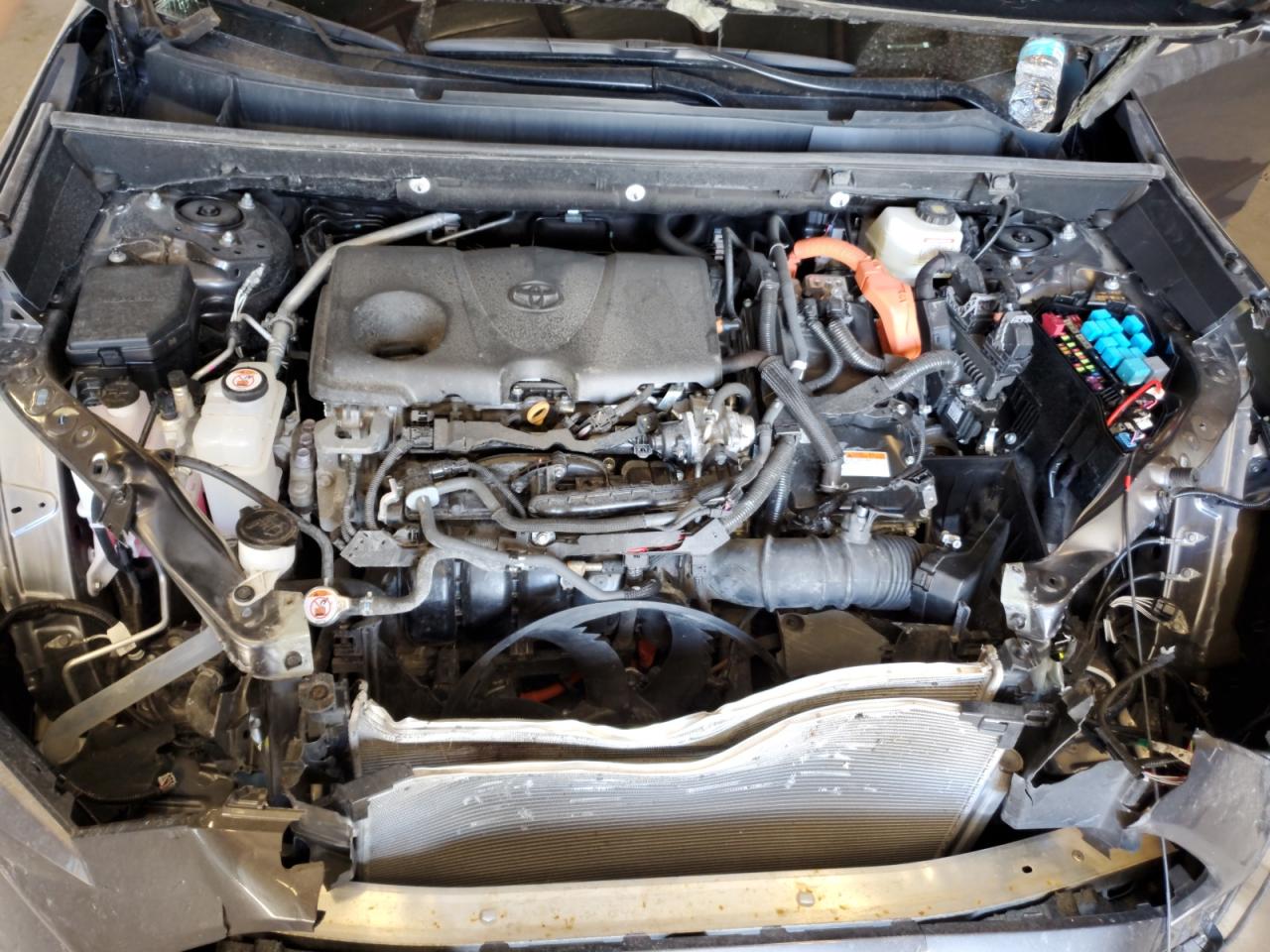 Lot #3309612565 2024 TOYOTA RAV4 LE