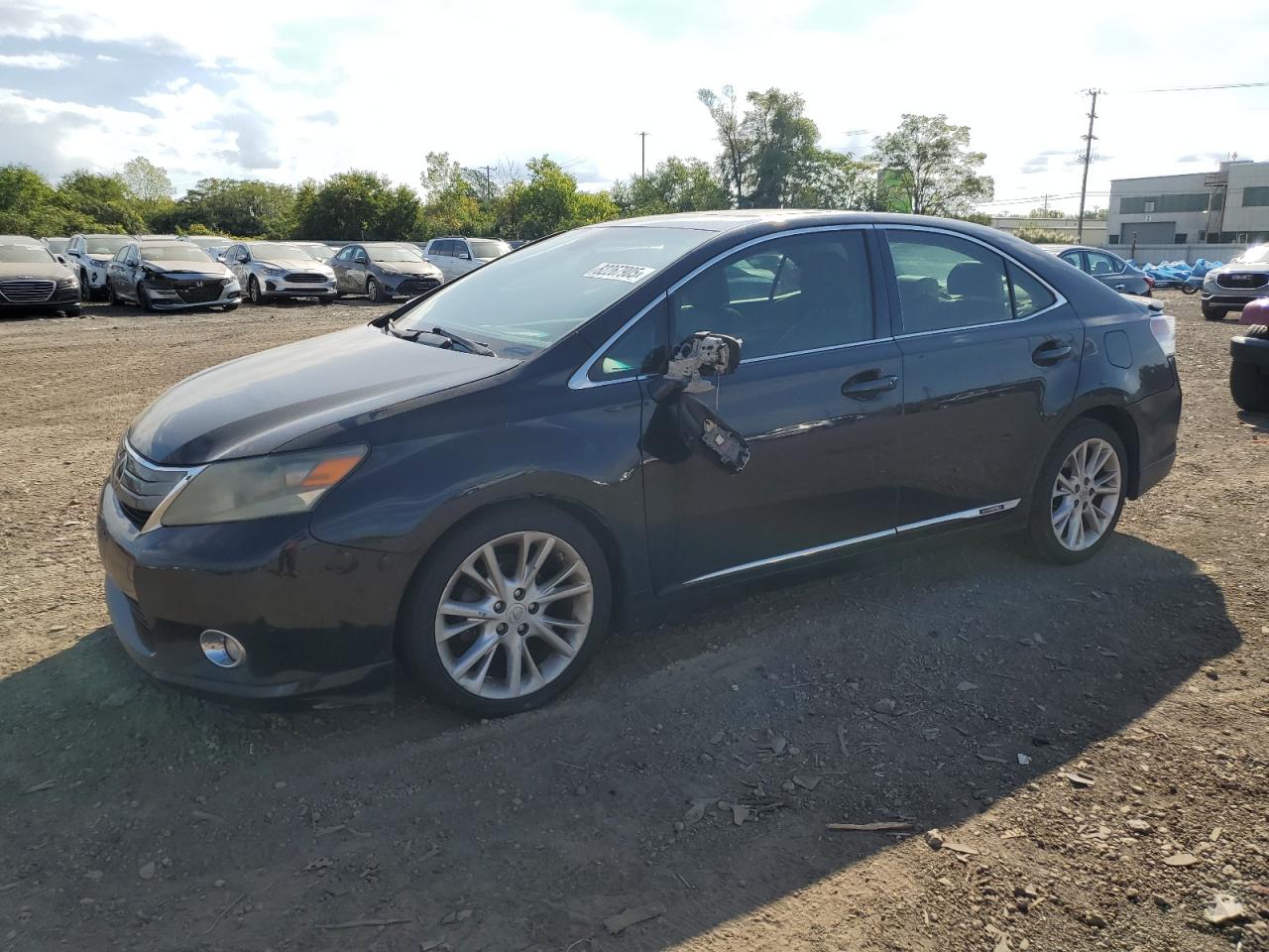 LEXUS HS 250H