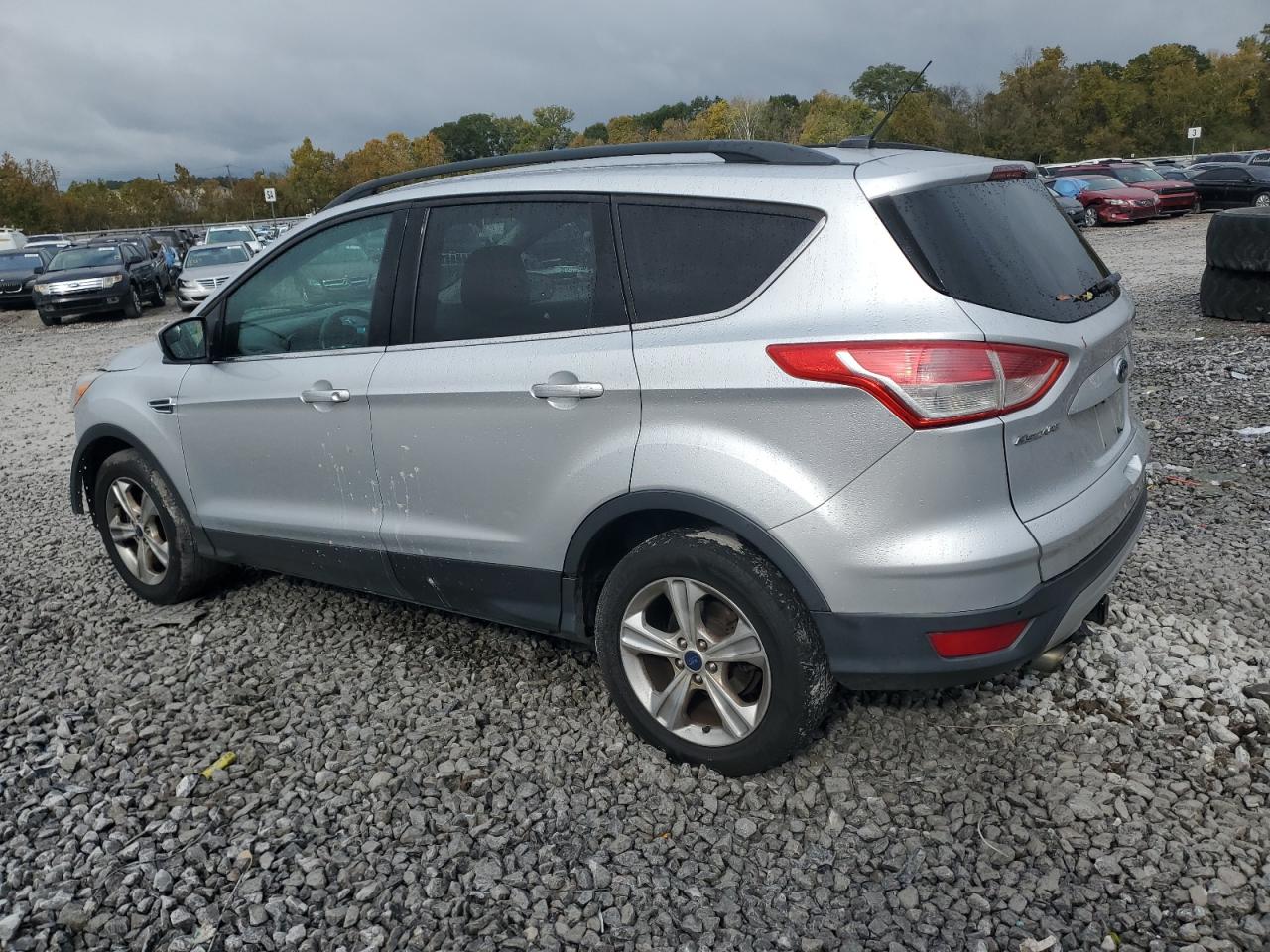 Lot #3301819341 2014 FORD ESCAPE SE