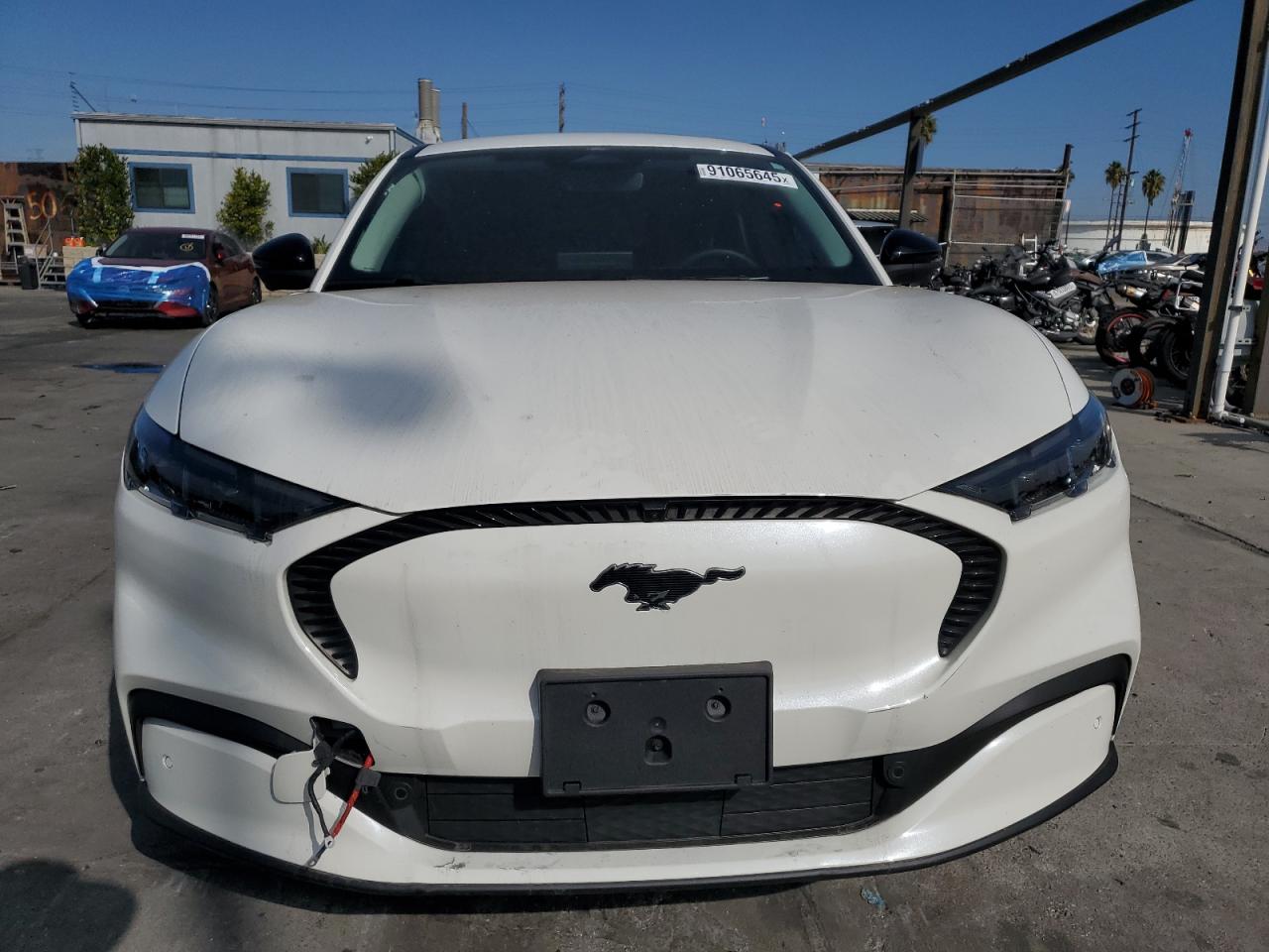 Lot #3309772857 2024 FORD MUSTANG MA