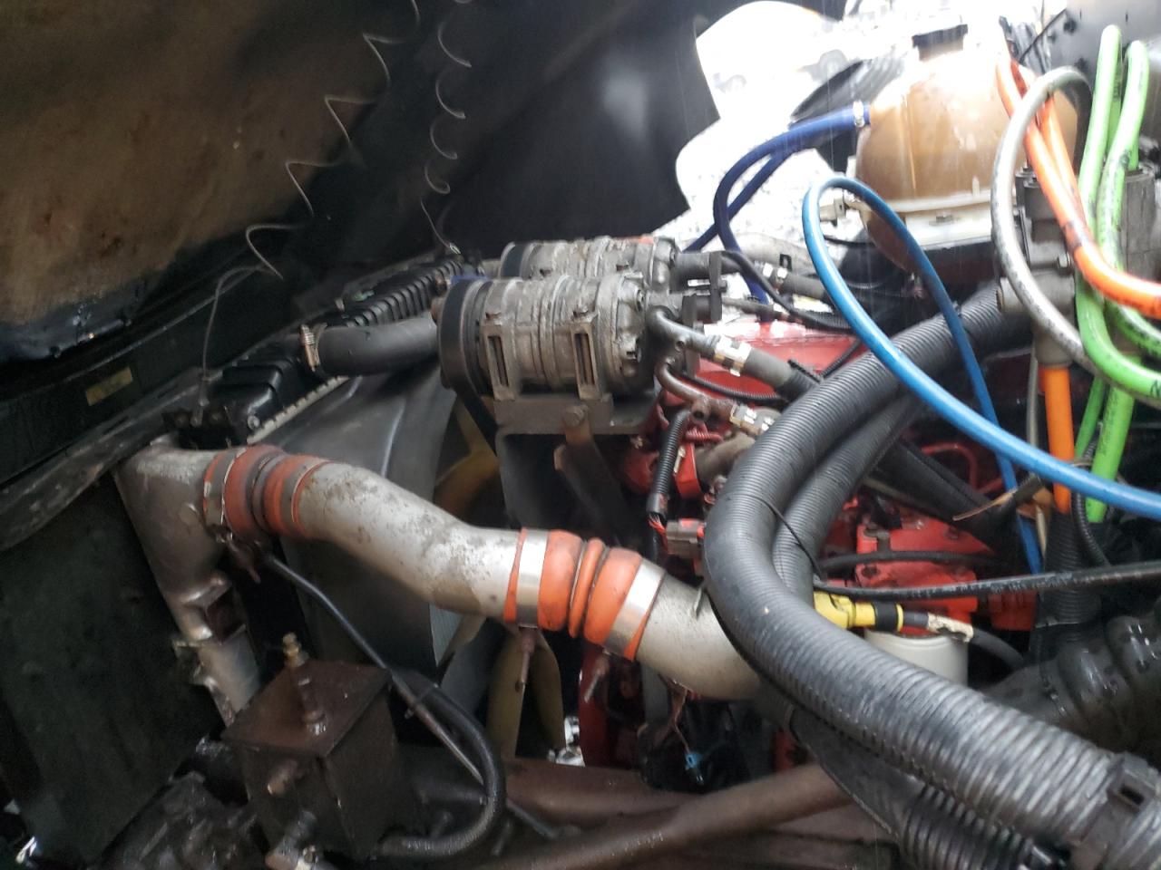 Lot #3276362832 2009 BLUE BIRD SCHOOL BUS