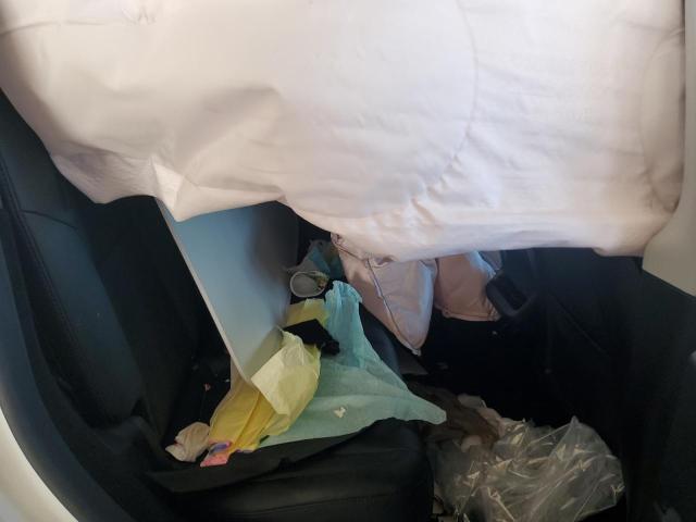 2024 TESLA MODEL Y #3302878898