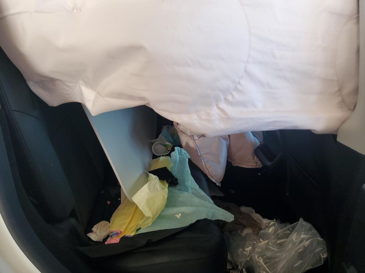 Lot #3302878898 2024 TESLA MODEL Y