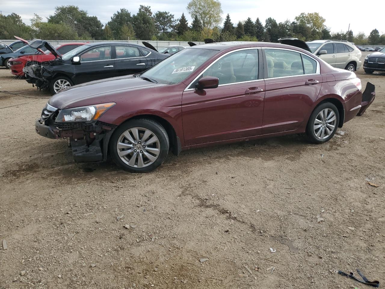HONDA ACCORD EXL