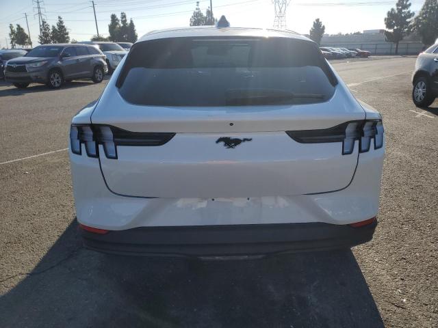 2025 FORD MUSTANG MA #3301946439