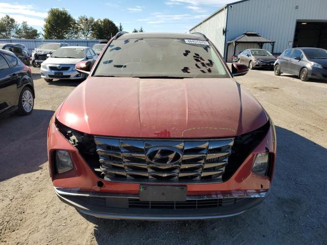 2022 HYUNDAI TUCSON LUX KM8JCCA14NU044244